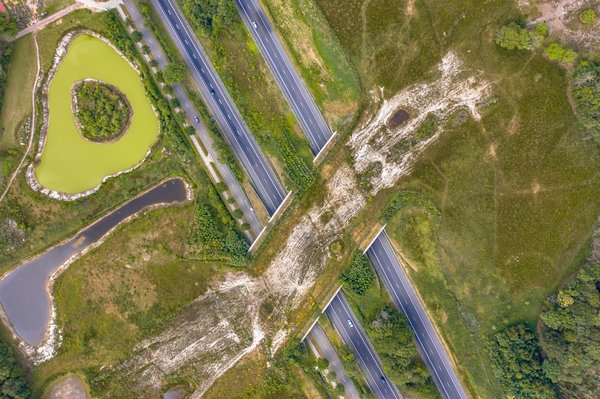 How Can Urban Wildlife Overpasses Reduce Roadkill Incidents in the UK?